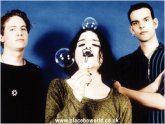 placebo-1996-0032