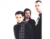 placebo-2003-0041