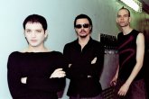 placebo-2003-0060